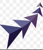 Astra Consulting