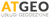 ATgeo Usługi Geodezyjne
