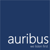 Auribus Consulting