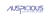 Auspicious Soft Pvt Ltd