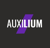 Auxilium Infosys