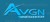 AVGN Infotech