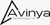 Avinya Technology Inc