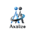AXALIZE Incorporate