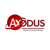Axodus Infotech Private Limited
