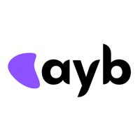 ayb - Professional Digital & Software Development Company