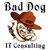 Bad Dog IT Consulting, LLC