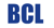 Baer Consulting