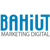 Bahiut