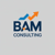 BAM CONSULTING LLC