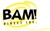 BAM! Direct, Inc.