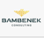 Bambenek Consulting, LTD