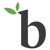 Bamboo Detroit
