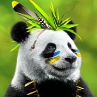 Bambuk Studio