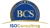 Barile Consulting Services LLC