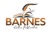 Barnes Author Publication