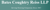 Bates Coughtry Reiss LLP