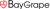 BayGrape Technology Solutions