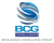BCG Consultants