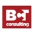 BCT Consulting, Inc.