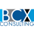 BCX Consulting