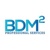 BDM Squared Professional Services