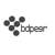 Bdpeer