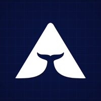 BeAWhale
