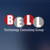 Bell Technology Consulting Group