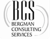 Bergman Consulting Services