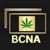 Best Copy Now Agency (BCNA)