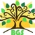 BGS