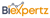 BI Expertz