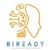 BI-Ready
