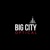 Big City Optical - Oak Brook