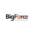 Big Force