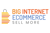 Big Internet Seller Services Inc