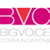 Big Voice Communications, LLC