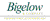 Bigelow & Company CPA, PLLC