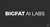 Bigfat AI Labs