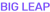 BigLeap Marketing