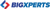 Bigxperts