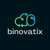 Binovatix