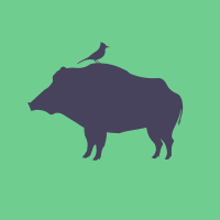 BirdBoar Design