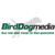 Birddog Media