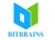 Bitbrains Technology Private Limited