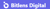 Bitlens Digital