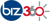 Biz360