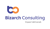 Bizarch Consulting