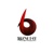 BIZNET-IT